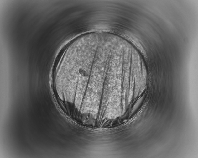 X0000093470944200711091605