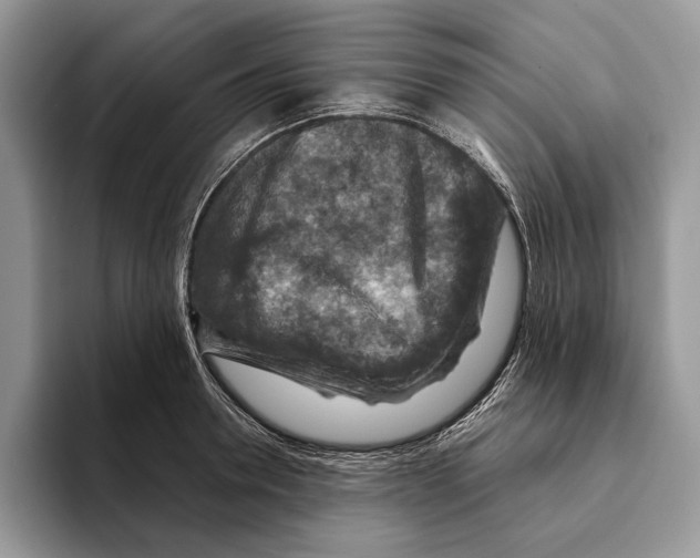 X0000093470946200711091605