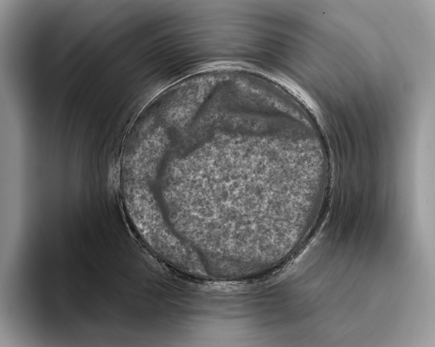 X0000093470953200711091605
