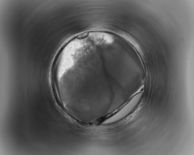 X0000093470958200711091605