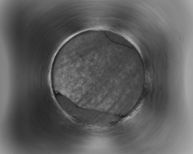 X0000093470959200711091605