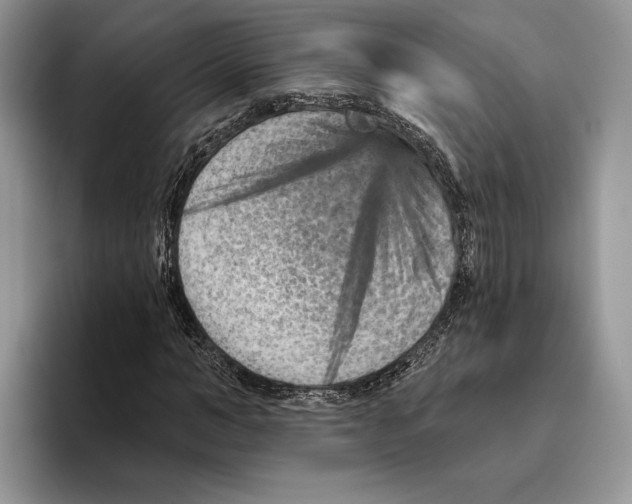 X0000093470966200711091605