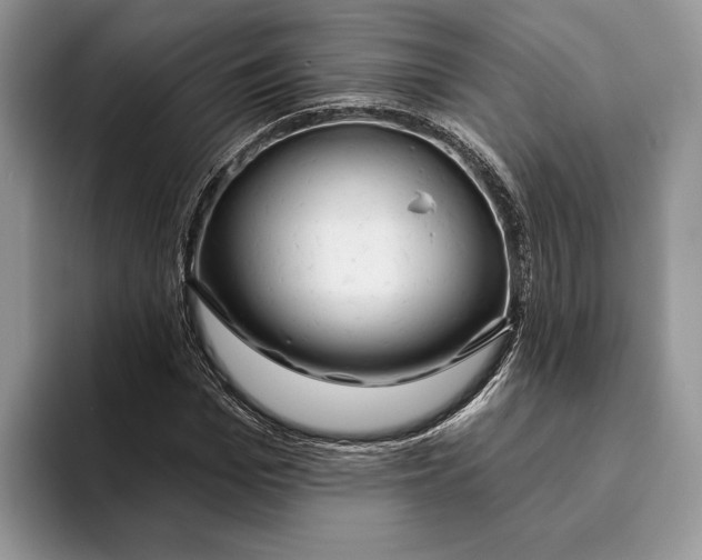 X0000093470969200711091605