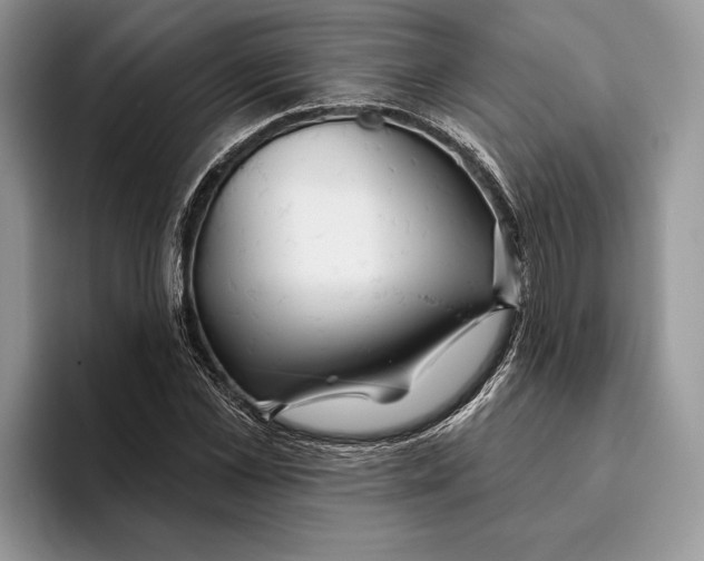 X0000093470973200711091605