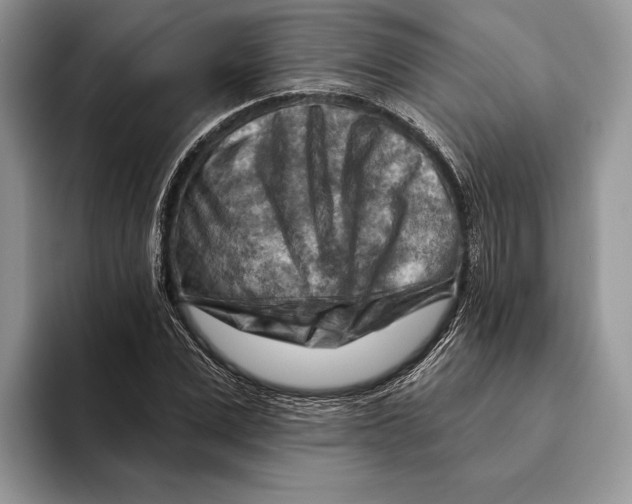 X0000093470975200711091605