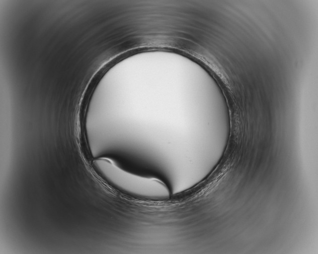 X0000093470980200711091604