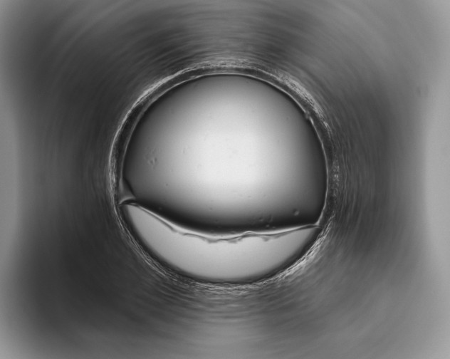 X0000093470981200711091604