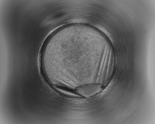 X0000093470983200711091604