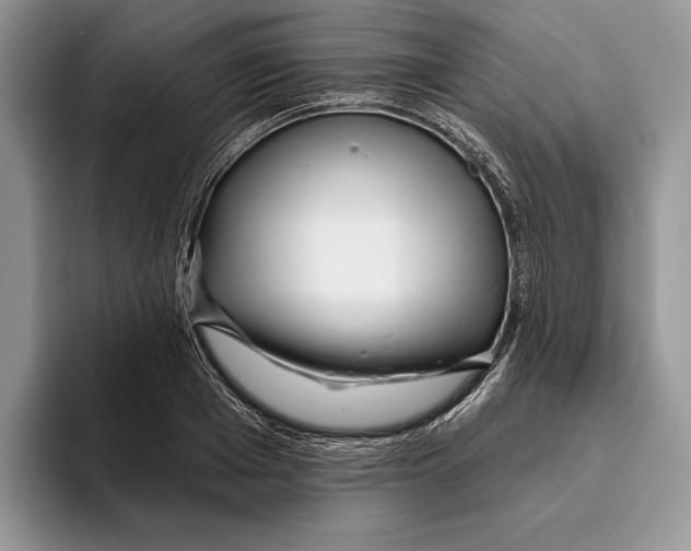 X0000093470985200711091604
