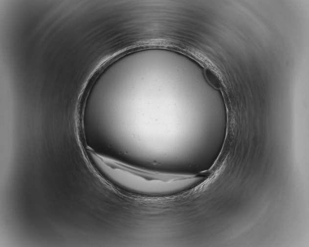 X0000093470989200711091604