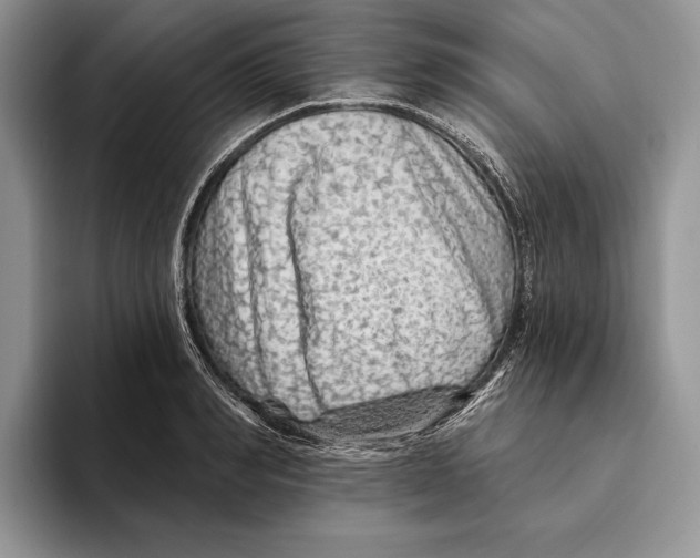 X0000093470990200711091604