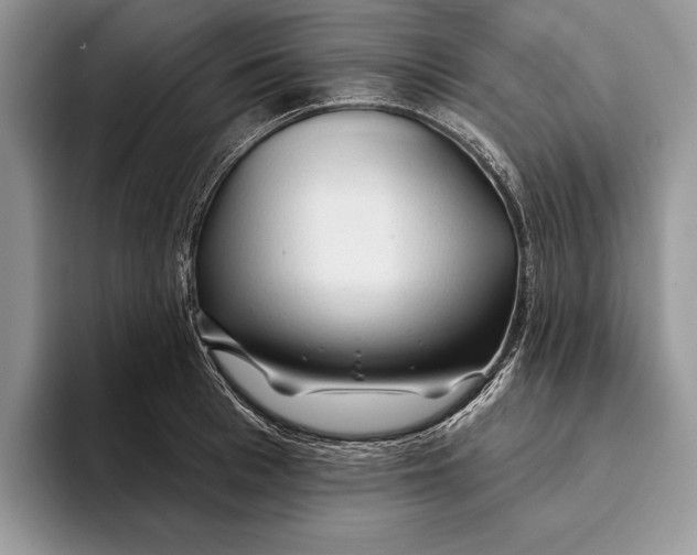 X0000093470993200711091604
