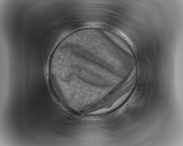 X0000093470994200711091604