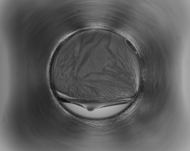X0000093470995200711091604