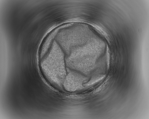 X0000093470998200711091604