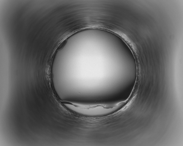 X0000093471001200711091604