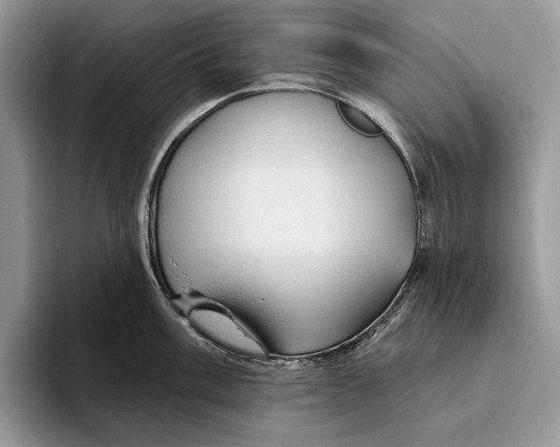 X0000093471003200711091604