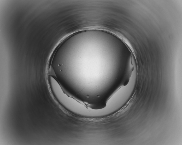 X0000093471005200711091604