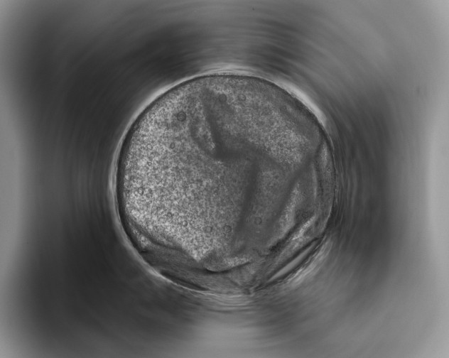 X0000093471007200711091604