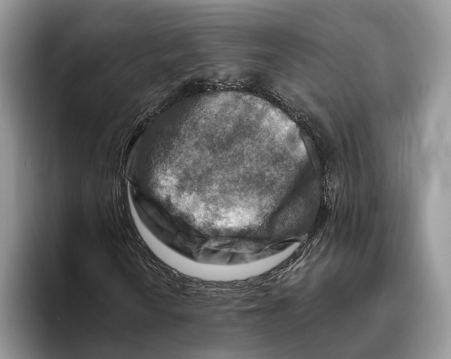 X0000093471010200711091604