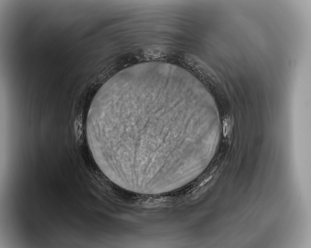 X0000093471011200711091604