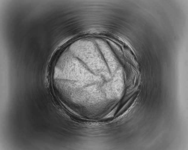 X0000093471018200711091604