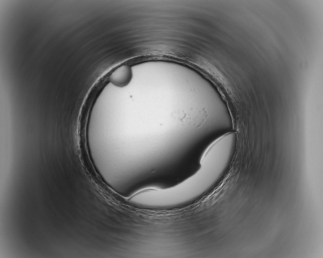 X0000093471020200711091604