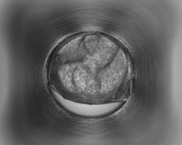 X0000093471022200711091604