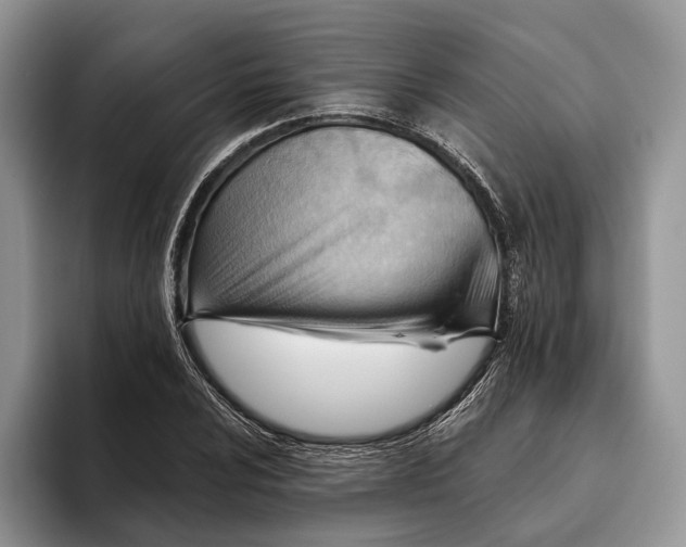 X0000093471024200711091604