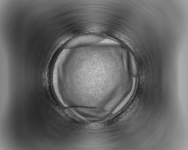 X0000093471026200711091604