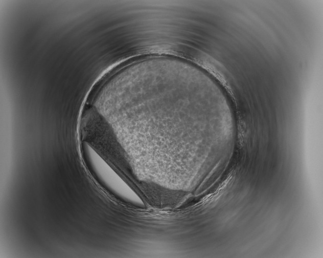 X0000093471028200711091604