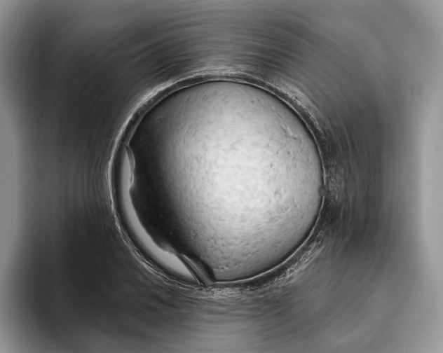 X0000093471030200711091604