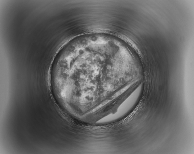 X0000093471031200711091604