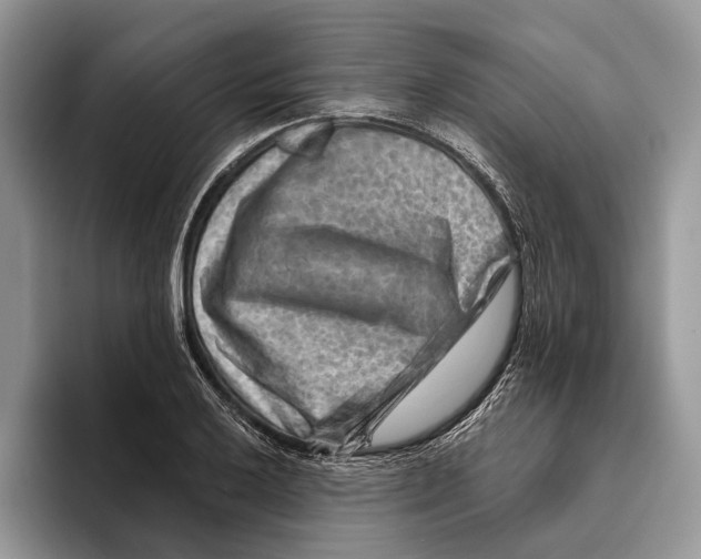 X0000093471032200711091604