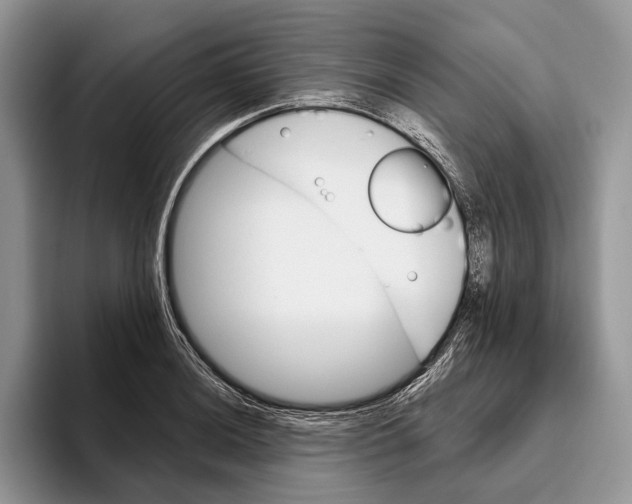 X0000093471036200711091604