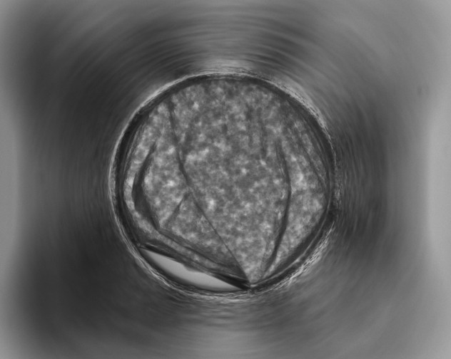 X0000093471037200711091604