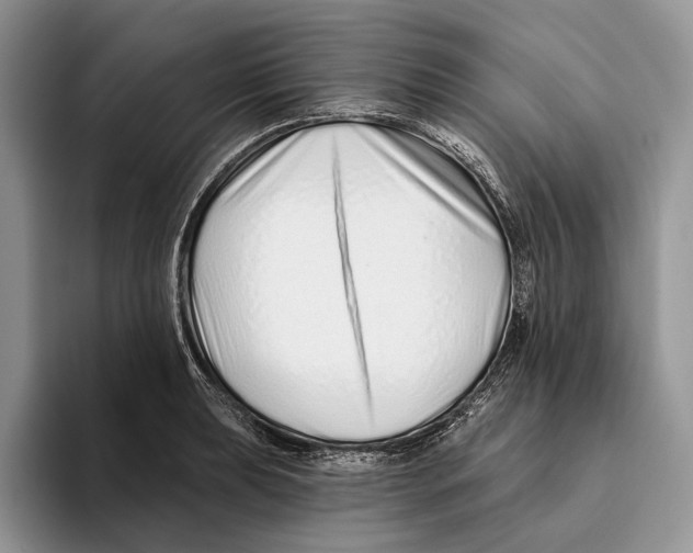 X0000093471039200711091604