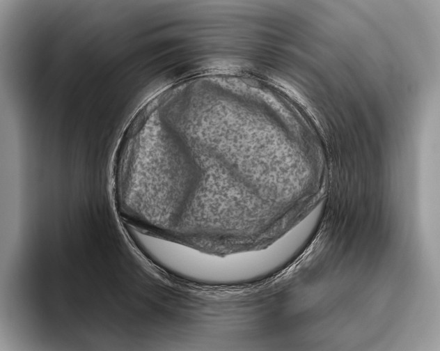 X0000093471042200711091604