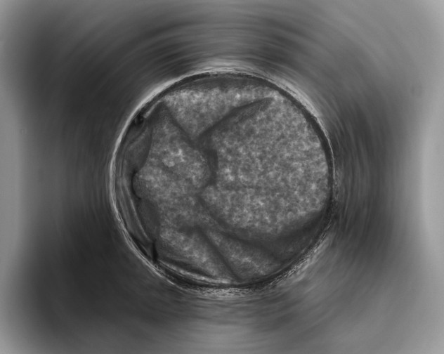 X0000093471045200711091604