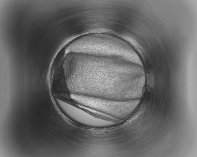 X0000093471046200711091604