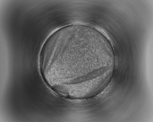X0000093471048200711091604