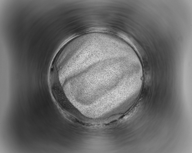 X0000093471050200711091604
