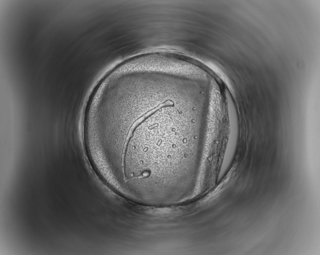 X0000093471054200711091604