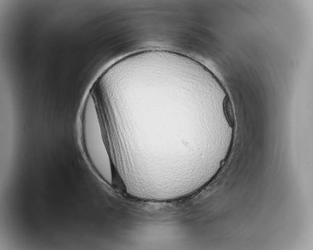 X0000093471056200711091604