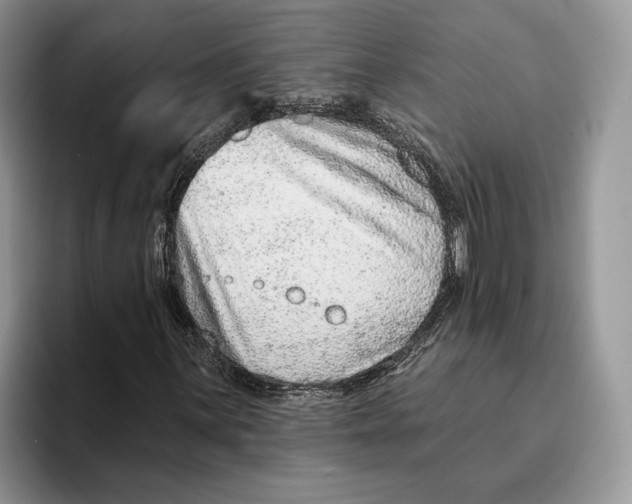 X0000093471059200711091604
