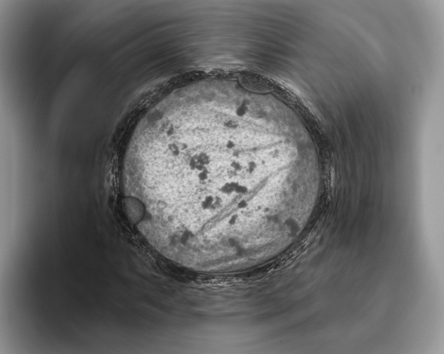 X0000093471063200711091604