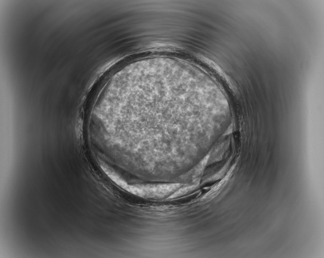 X0000093471066200711091603