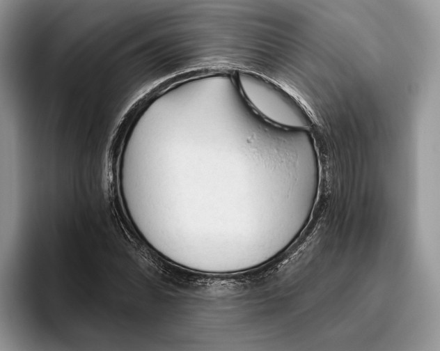 X0000093471070200711091603