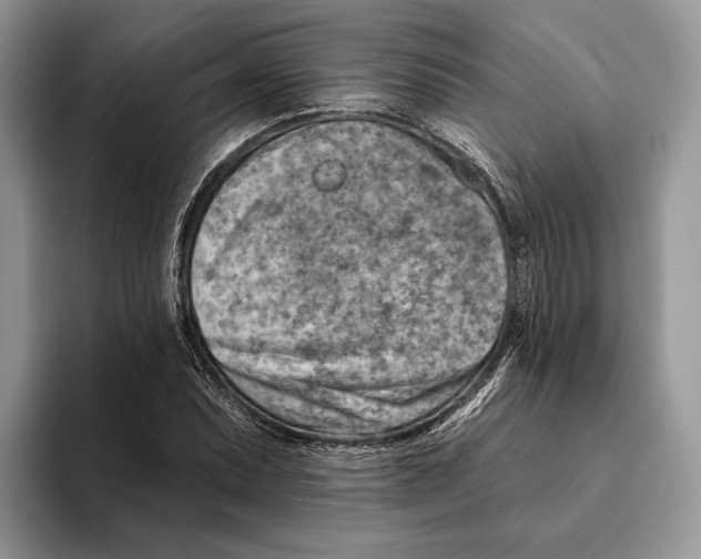 X0000093471071200711091603