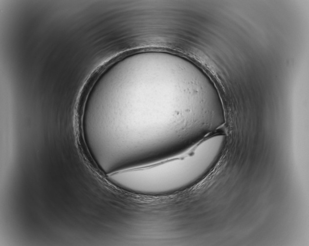 X0000093471072200711091603